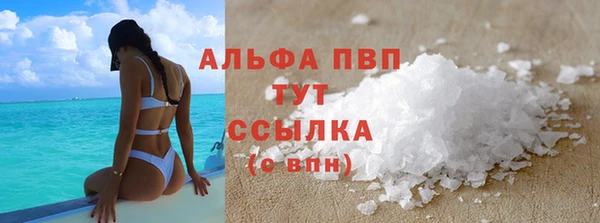 прущие грибы Вуктыл