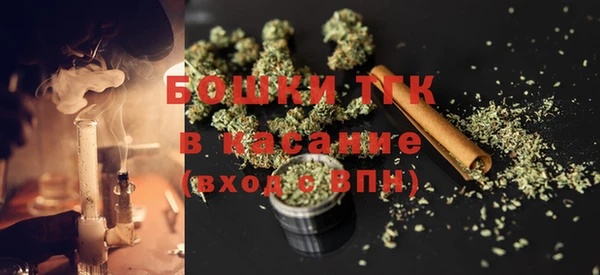 прущие грибы Вуктыл