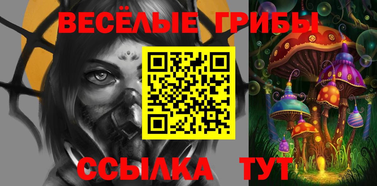 МЕФ Полысаево